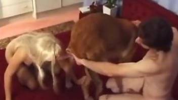 blonde wife shares the dog cock with her hubby