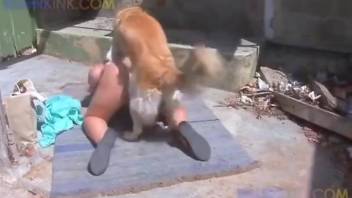 Thicc chick getting fucked silly by a furry beast