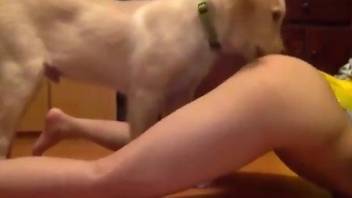 Sexy girl with skinny legs gets fucked by a dog