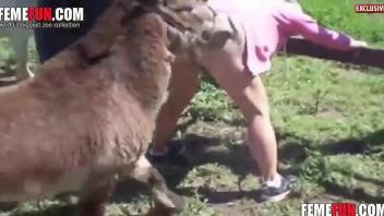 Some kind of alpaca fucks a chick's pussy from behind
