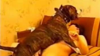 Mature filmed when getting her dog to fuck her