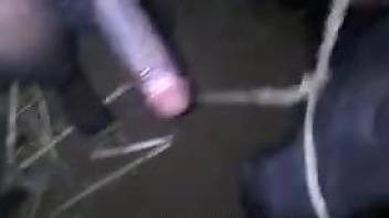 Dirty guy's veiny penis getting serviced by a beast
