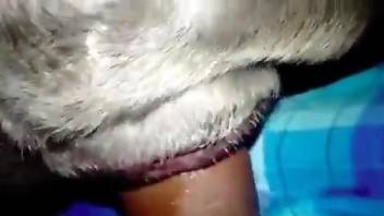 Interesting gape scene with a tight animal hole