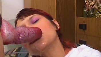 Enjoy the chronicles of redheaded dog cock addict
