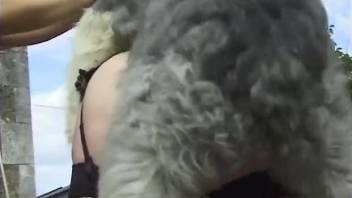 Sexy pooch violates the tight fuckhole of an old lady