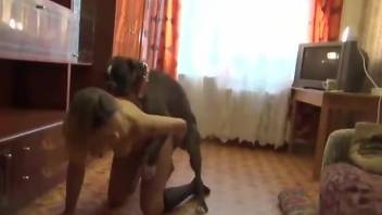 Dirty babe wants to fuck a dog and eat its ass too