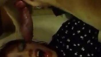 Clothed woman gags with the dog's dick in excellent modes