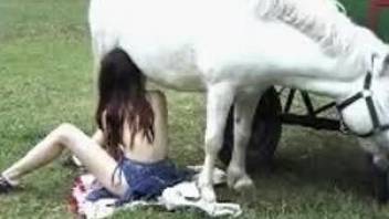 Outdoor banging with a big-dicked white pony