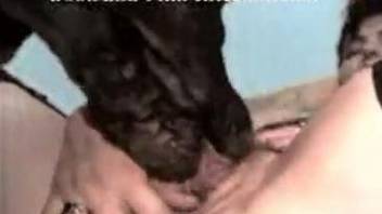 Horny mature babes enjoy hardcore sex with animals