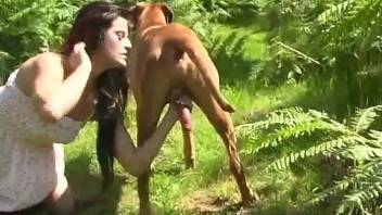 Brunette shows her BJ skills to a dirty doggo