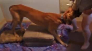 Blonde diva getting fucked by a horny doggo here