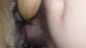 Zoophilic man is happy to fuck a gorgeous hole