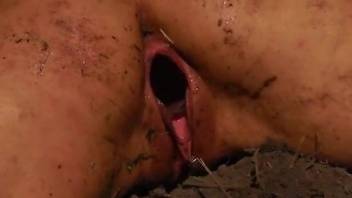 Hot females combine their lezzie porn play with dirty scat