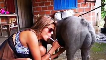 Aroused woman is attracted to this animal  from a sexual point of view