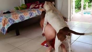 Busty woman feels entire dog penis hammering her from behind