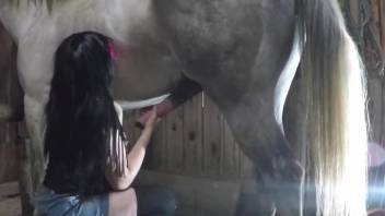 Long-haired brunette banged by a kinky stallion
