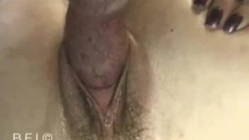 Slender blondie with hairy crack likes dirty hardcore sex with a doberman