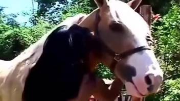 Aroused babe sticks entire horse penis into her ass