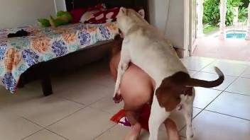 Sexy woman throats the dog's dick while posing nude
