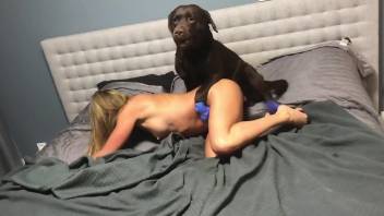 Fit blonde allows the black beast to fuck her up