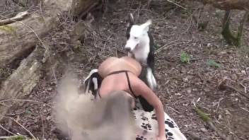 Pink pussy beauty gets screwed on all fours here