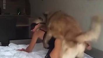Big boobies blonde gets screwed by a sexy dog