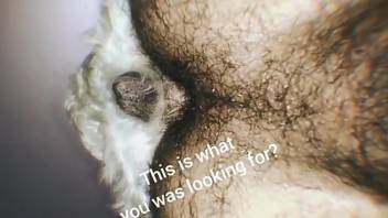 Hairy asshole dude getting screwed by a sexy dog