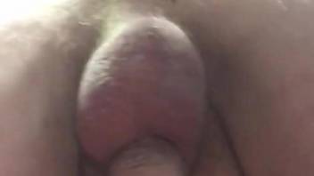Hairy guy's tight butthole fucked by a kinky beast