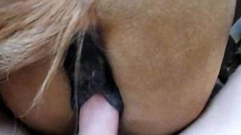 Hot mare getting screwed in a POV vid with a pasty guy