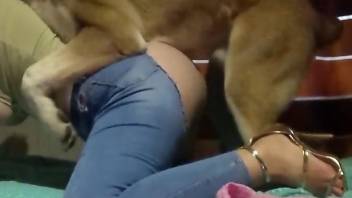 Ripped jeans hottie getting fucked by a sexy dog