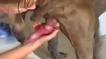 Blond-haired babe shows her body while fucking a dog