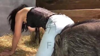 Brunette in a sexy corset fucked by a sexier animal
