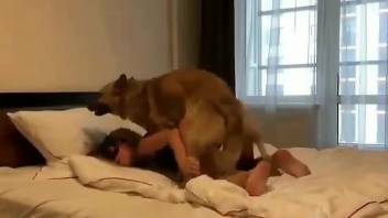 Masked gal getting fucked from behind by a dog