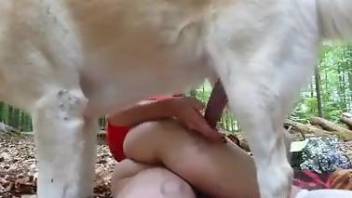 Dashing babe gets laid in the woods with a real dog