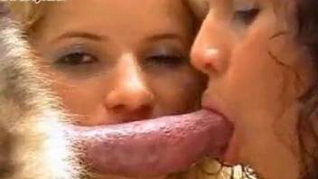 Horny girlfriends enjoying nasty sex with a dog