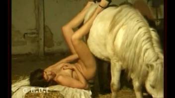 Horny chick with natural boobs enjoys sex with a stallion