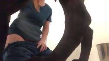 Sexy female filmed when pushing a dog penis into her wet cunt