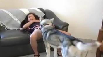 Dark-haired lady fucked by her leashed animal
