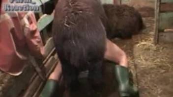 Filthy beast fucking a thick bitch in the barn