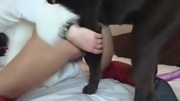 Hot women fucking animals in a doggystyle position