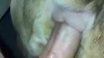 Guy uses his meaty dick to fuck a really hot beast