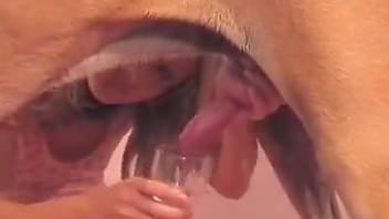 Wet pussy blonde getting fucked by a dog in the ass