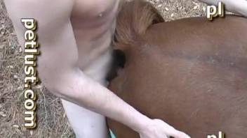 Horse fuck xnxx scenery in hot outdoor video