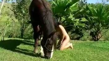 Dark-haired chick likes when stallion bangs her tight cunt