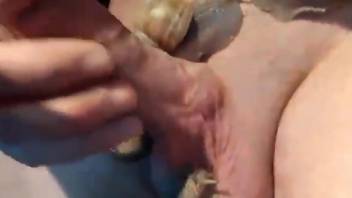 Naked male jerks off with snails all over his dick and balls