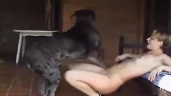 Black dog banging a sexy lady while she's on all fours