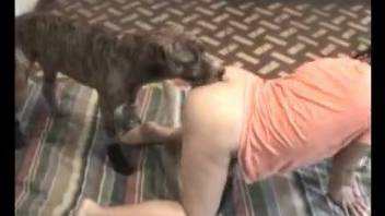 Brown dog plowing a brunette in a colorful t-shirt