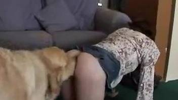 Dog gets to fuck a horny brunette in a skirt