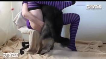 Masked babe in purple stockings blows her shepherd's hard prick