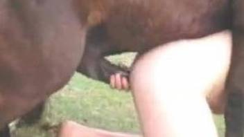 Tight hole is perfect for a throbbing animal cock